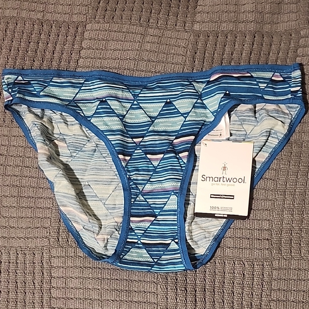 Smartwool Women's Blue Striped Merino Wool panty  Size L